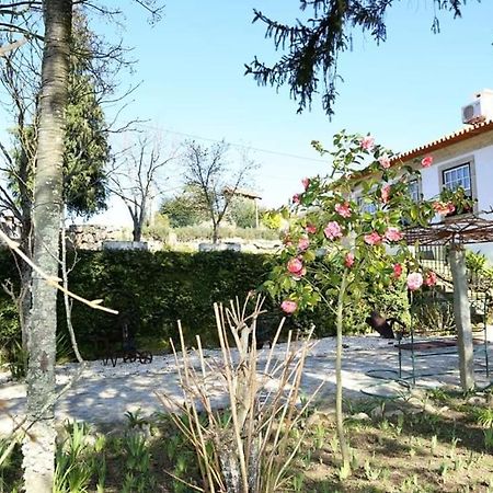 Quinta De Vila Verde- Paixao Ancestral, Turismo Rural Marco de Canavezes Εξωτερικό φωτογραφία